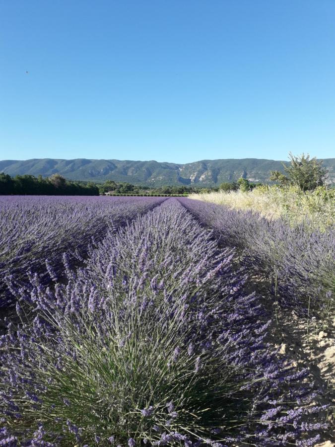 Gite Le Bagnol Un Coin De Paradis Maubec  Exterior photo